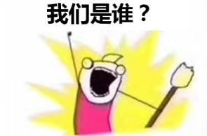 我们是谁？程序员-蓝鸥大拷问